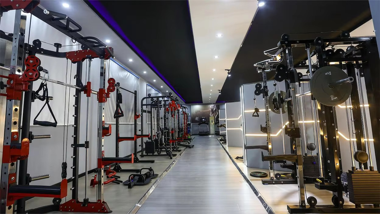 Китай Shandong Freeman Fitness Equipment Co., Ltd. Профиль компании