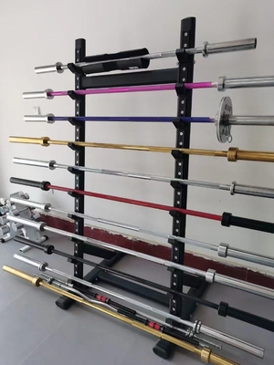 Дизайн EZ Barbell Curl Bar Идеальное дополнение к тренировке с свободными весами в вашем спортзале