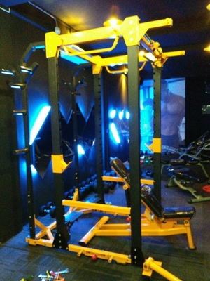 Фитнес-оборудование Befreeman Gym 2020*1660*2310 мм Сквот-реак для многофункциональных упражнений