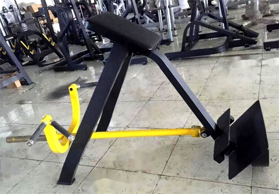 Фитнес Коммерческое оборудование тренажерного зала T Bar Row Plate Loaded Seated Row Machine Топ-выбор