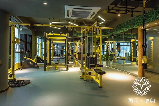 Большой погрузчик 5 станции много Gym коммерческий тренировки силы много джунглей Gym Station
