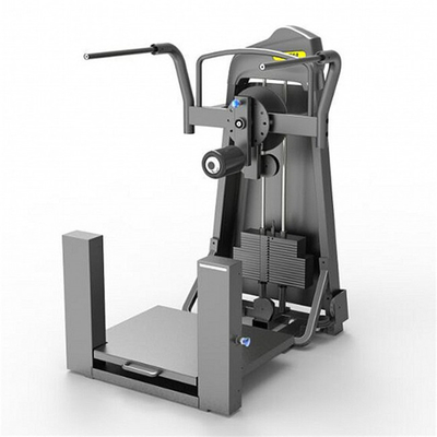 Коммерческий Befreeman Multi Hip Machine Gym Equipment с индивидуальным логотипом доступен