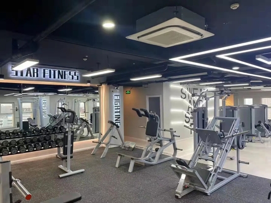 Коммерческий Befreeman Multi Hip Machine Gym Equipment с индивидуальным логотипом доступен