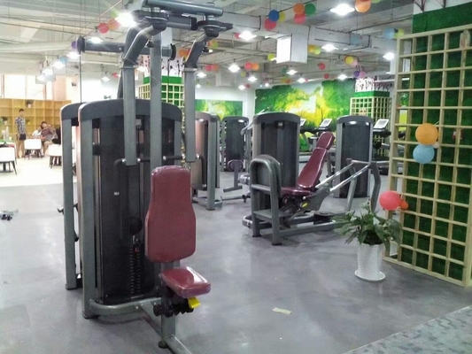 Устройство для загрузки фитнеса задней части Delt Pec Fly Machine