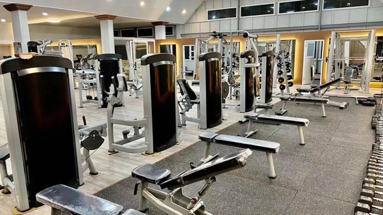 Устройство для загрузки фитнеса задней части Delt Pec Fly Machine