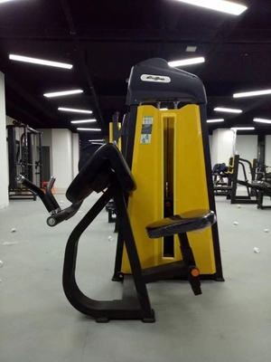Коммерческий средний погрузчик Indoor Camber Curl с весом 80 кг